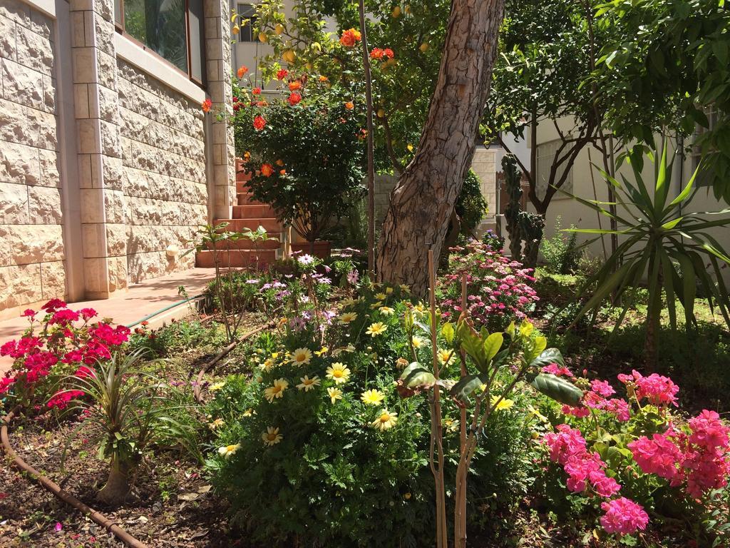Miriam Short Term Rental Ναζαρέτ Εξωτερικό φωτογραφία